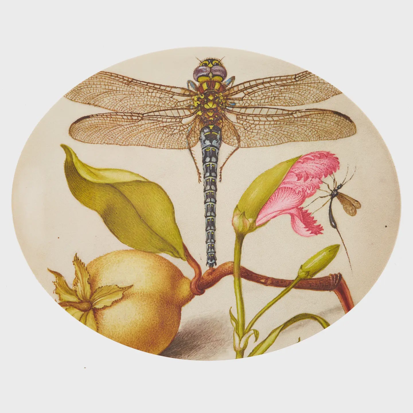 Oval Dragonfly Plate