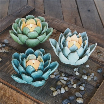 7664-29 Succulent Candle